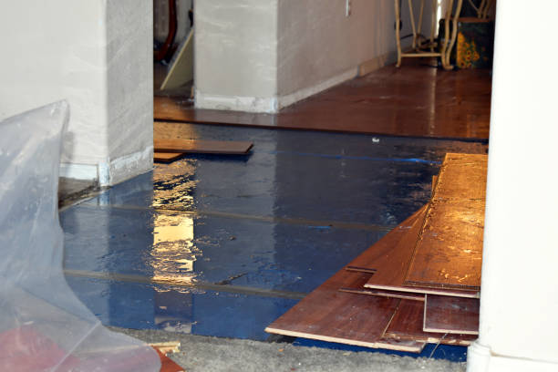 Professional Emergency Water Damage Restoration technician working in Fort Jennings, OH